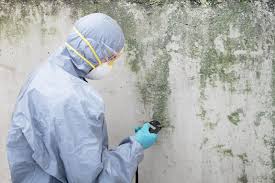 Why You Should Choose Our Mold Remediation Services in Southern Pines, NC